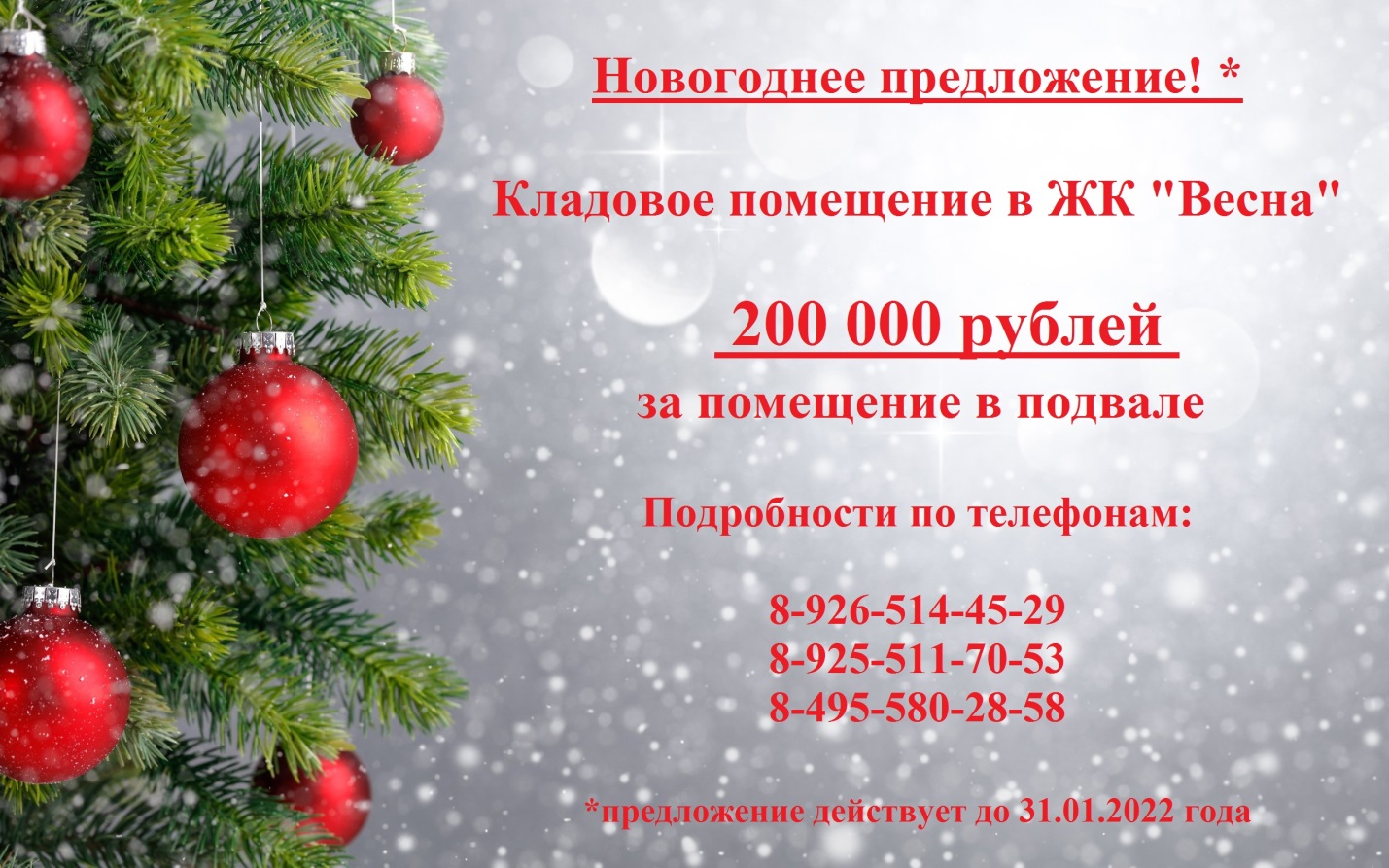 АКЦИЯ! Сейчас стоимость кладового помещения от 200 000 рублей.